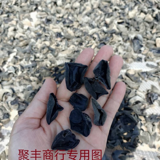 东北优质黑木耳