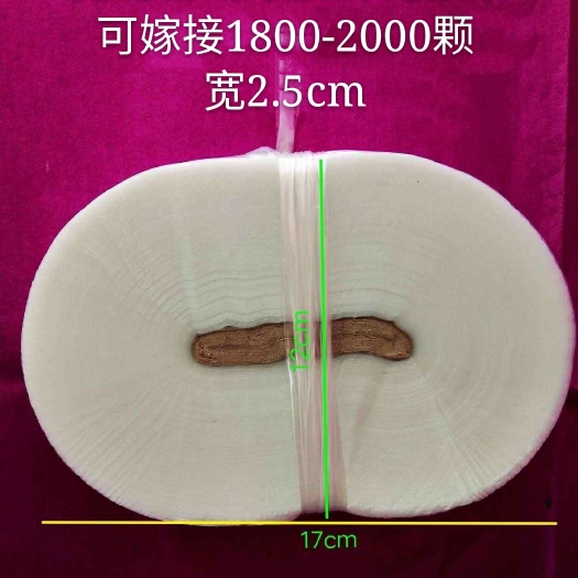 卢氏县嫁接膜 新款宽3厘米多功能嫁接条果树包扎绑带绕缠透明薄膜成活