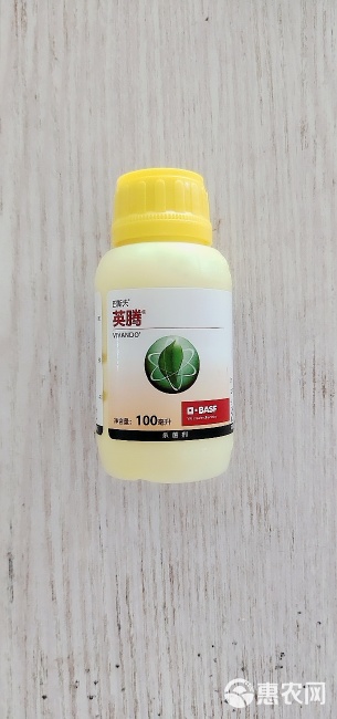 巴斯夫英腾苯菌酮黄瓜草莓葡萄甜瓜月季多肉白粉病杀菌剂