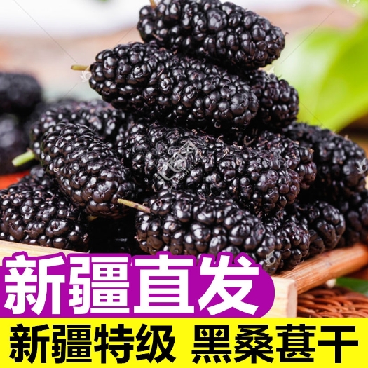 精河县新疆黑桑葚干 无糖大颗粒免洗无沙 头茬新货泡水泡酒即食