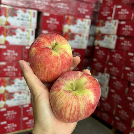 南宁红富士苹果 阿克苏苹果