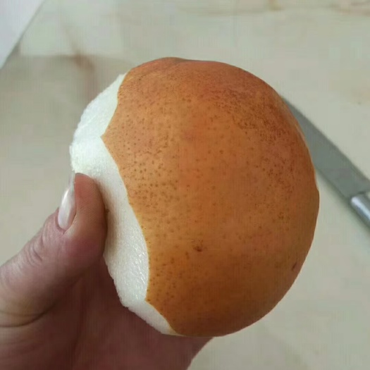  爱宕酥梨