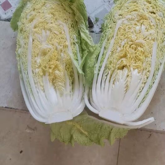 永城市 小白菜