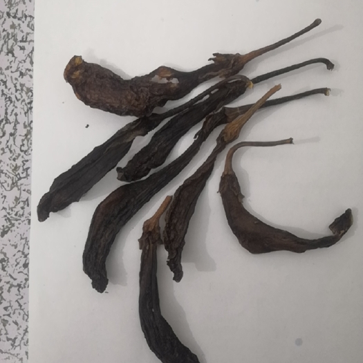广州干茄子 河源客家带把茄干