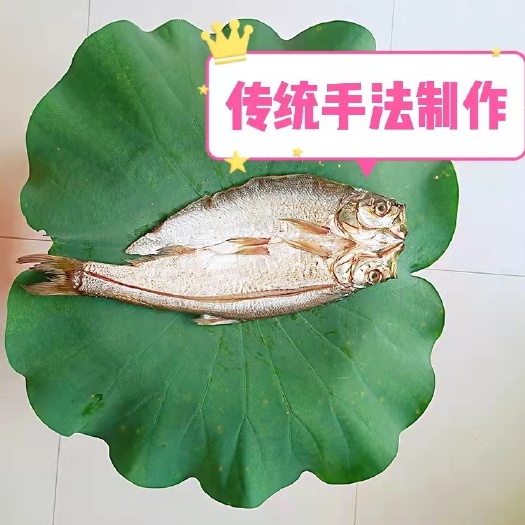  开背大白刁子鱼干阳干鱼，传统手法低盐腌制，自然生晒六成干