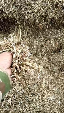 枣阳市 花生秧秸秆出售无土无薄膜