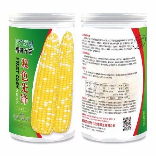 余干县彩香糯516玉米种子 双色先锋水果玉米种子。杂交品种，超大棒