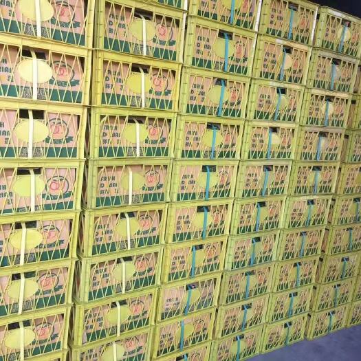 南宁干尧榴莲，品质保证，精品榴莲，诚心合作，量大来单