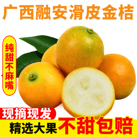 融安县正宗广西融安滑皮金桔，脆蜜金桔，纯甜无核金桔非油桔