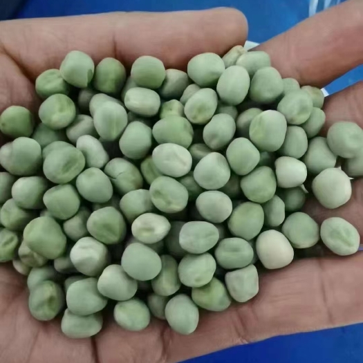 成都方青干豌豆一斤泡两斤多青豌豆，长年都可以卖的产品