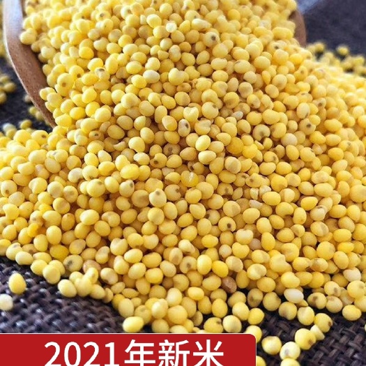 蔚县2023年蔚县特产（特黏）大黄米（包邮）自产自销