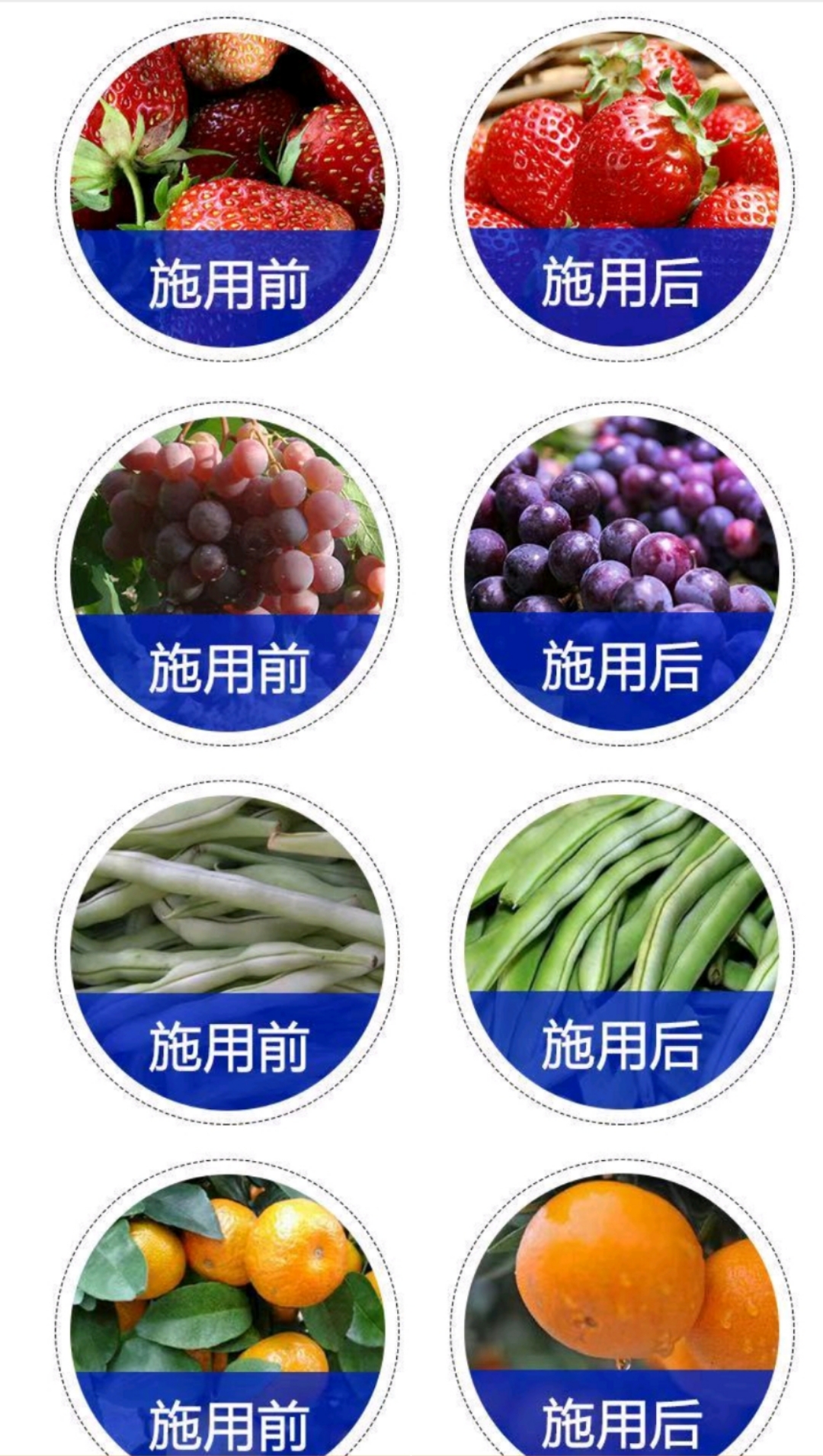 海藻水溶肥40斤包郵蔬菜瓜果肥料全水溶沖施肥微生物菌劑