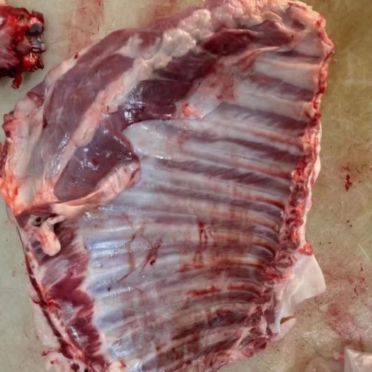 阳信县鲜羔羊排，，羔羊肋排，，肉质鲜嫩 质量如图