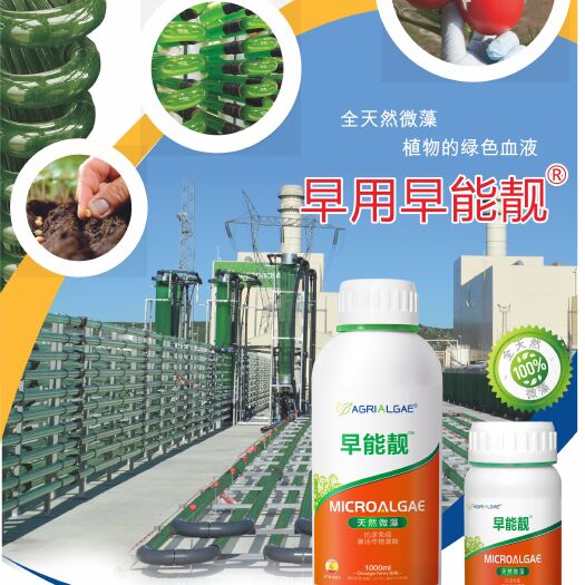 深圳薇藻肥 抗冻！抗寒！抗逆！西班牙纯！
