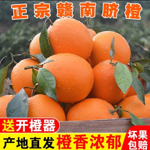 安远县脐橙赣南脐橙当季水果现摘橙子应季手剥橙整薄皮多肉汁甜支持代办