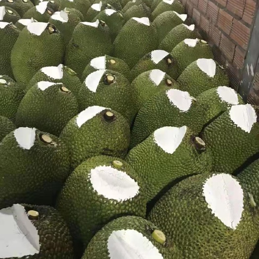 河口县红肉菠萝蜜