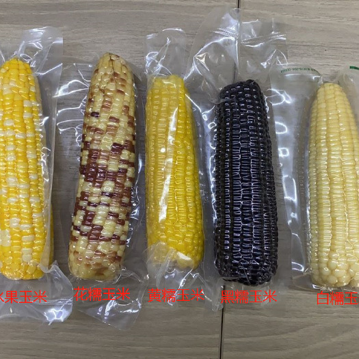 忻州糯玉米  山西真空包装玉米，常年有货整车批发一件代发贴牌代工