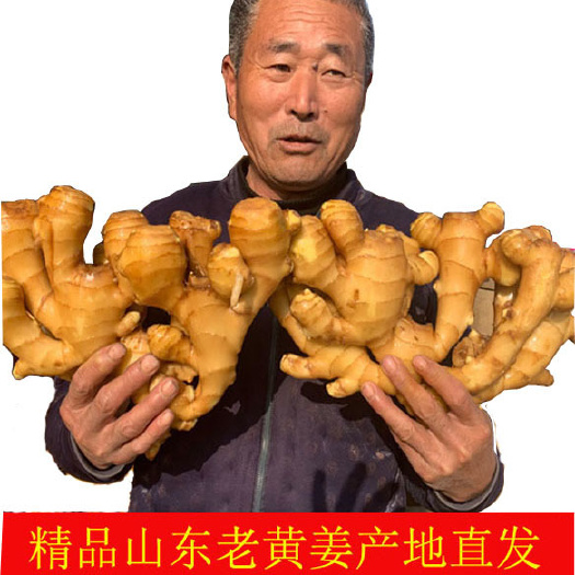 沂水县仔姜  山东大姜 新鲜大黄姜小黄姜大量现货 红芽鲜姜 产地直