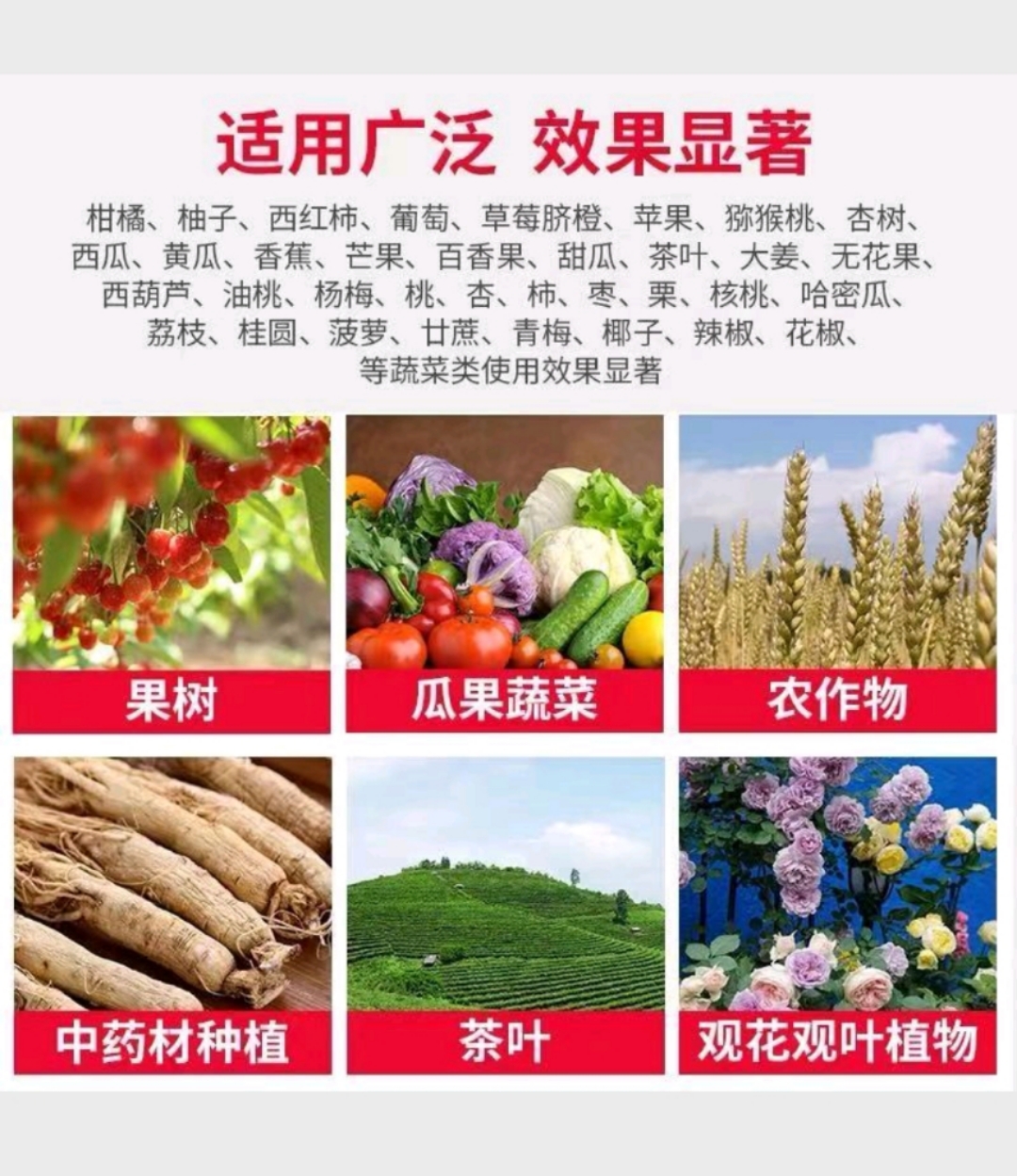 海藻水溶肥40斤包郵蔬菜瓜果肥料全水溶沖施肥微生物菌劑