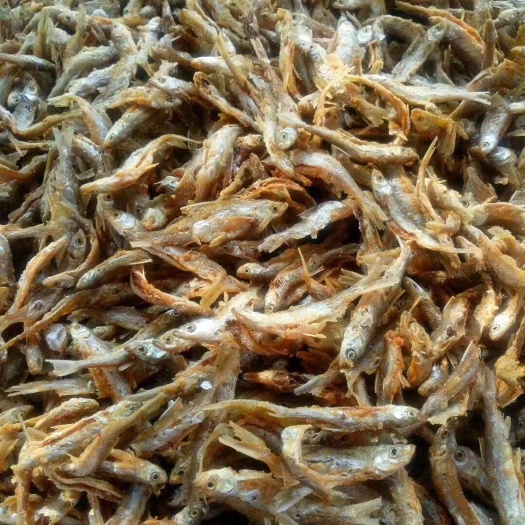 河源山坑鱼仔 干