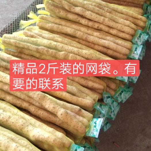 饶阳县河北小白嘴山药精品网贷货