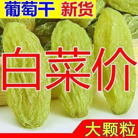新货新疆特产大颗粒葡萄吐鲁番市绿葡萄树上黄干休闲零食量大优惠