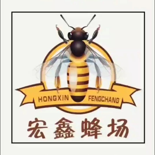 辽源槐花蜜 蜂蜜