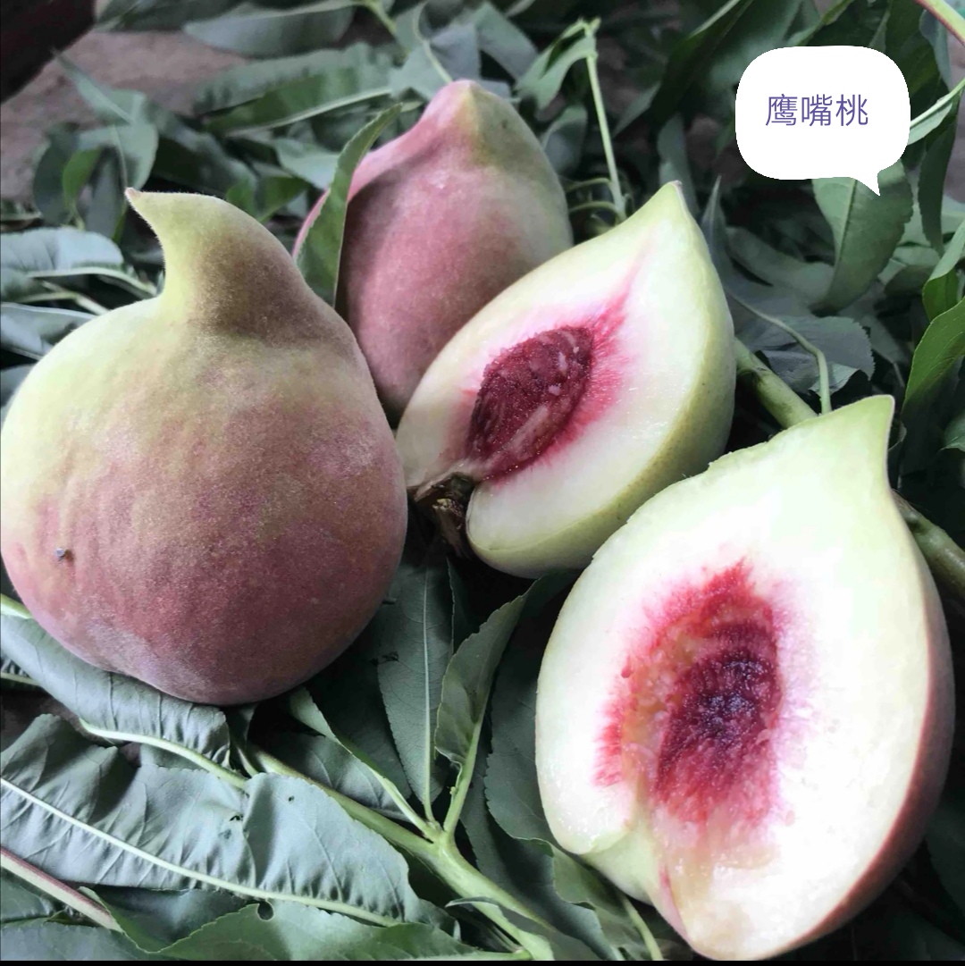 壽縣鷹嘴桃，8月10日左右成熟，果重250克左右，脆甜，好吃。