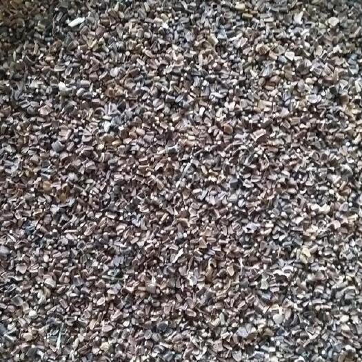 大叶茼蒿种子  茼蒿