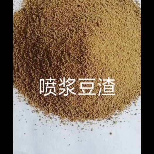 正定县糟渣类饲料  喷浆豆渣