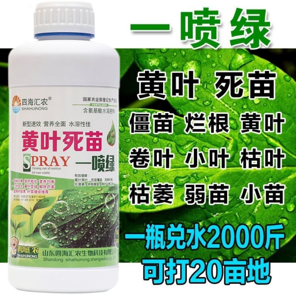 郑州黄叶死苗一喷绿死苗烂根黄叶小叶卷叶落叶落果氨基酸水溶肥叶面肥