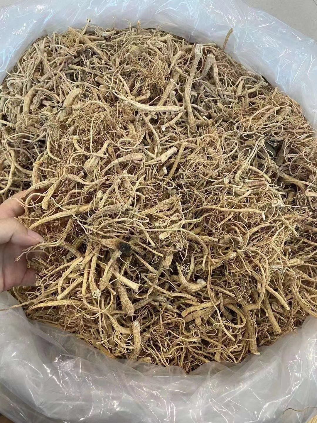 人参须无碎杂质货干