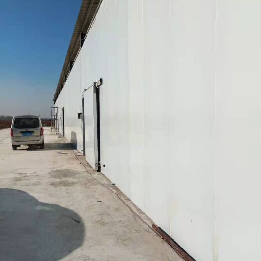 大城县冷库租赁  自建冷库出租，