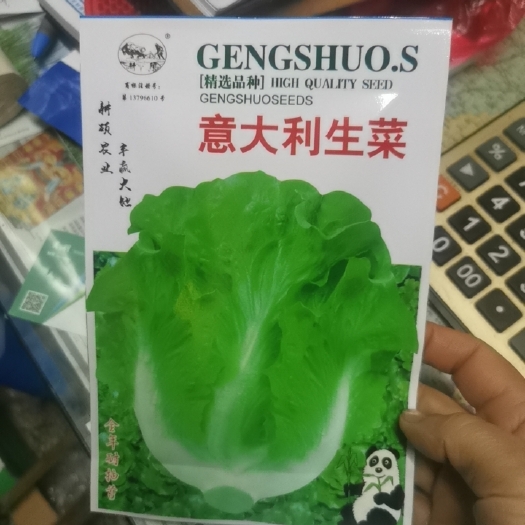 怀化生菜种子 杂交种 预包装