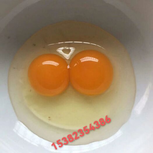 青阳县 土鸡蛋