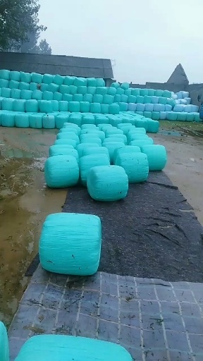 绛县 玉米秸秆储存饲草