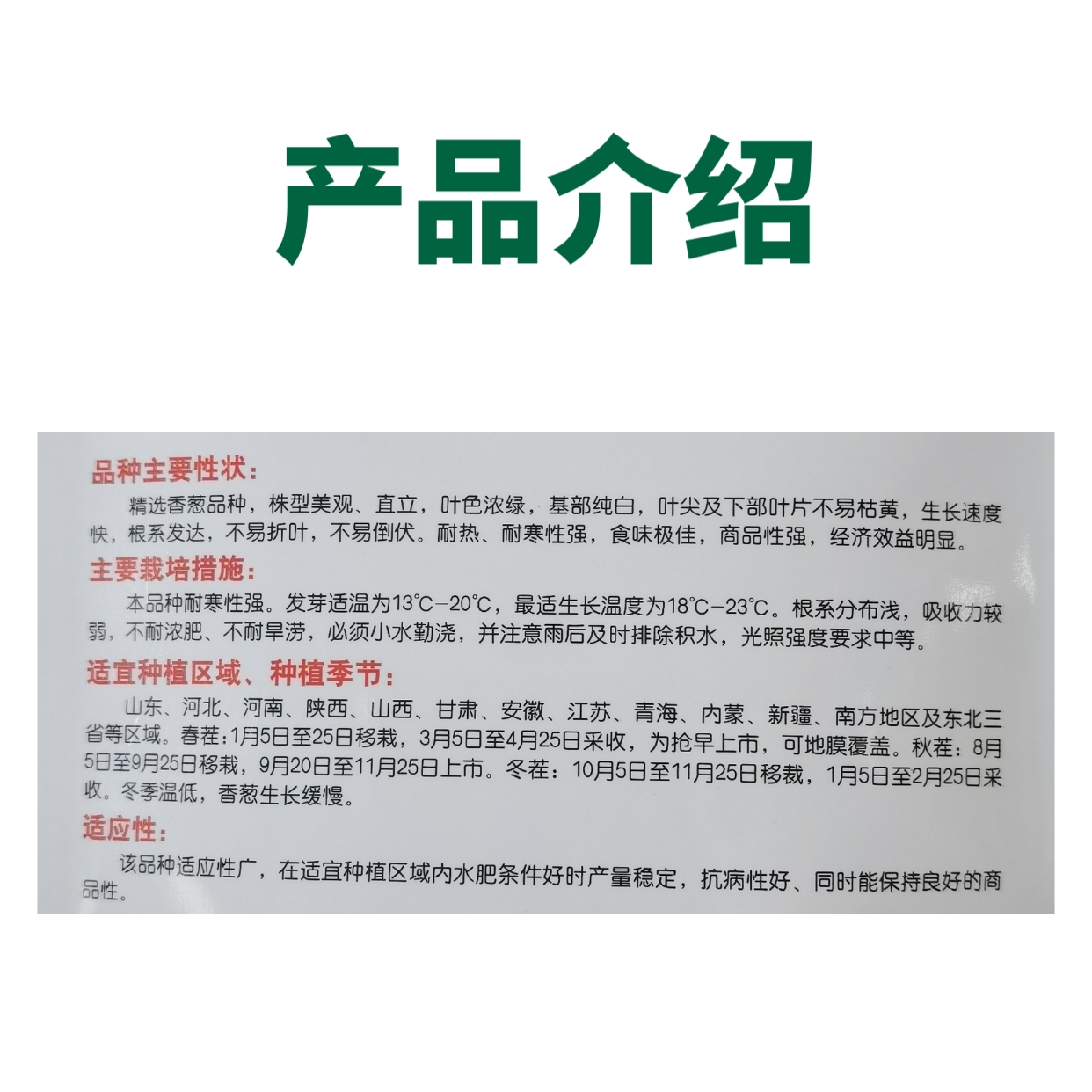  秦闽四季小香葱种子四季易小葱种籽阳台室内盆栽葱种子家庭菜种孑