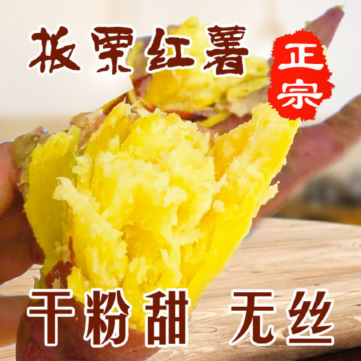 山东板栗薯济薯26，黄心粉面香甜