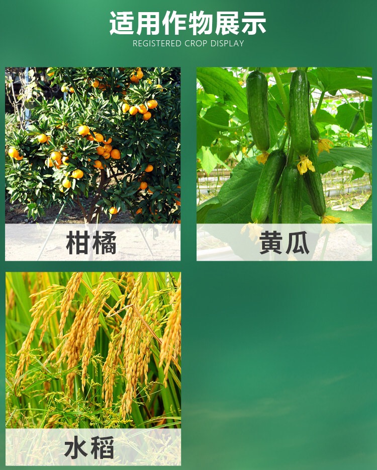  無限大地寡糖噻唑膦登記作物根線蟲