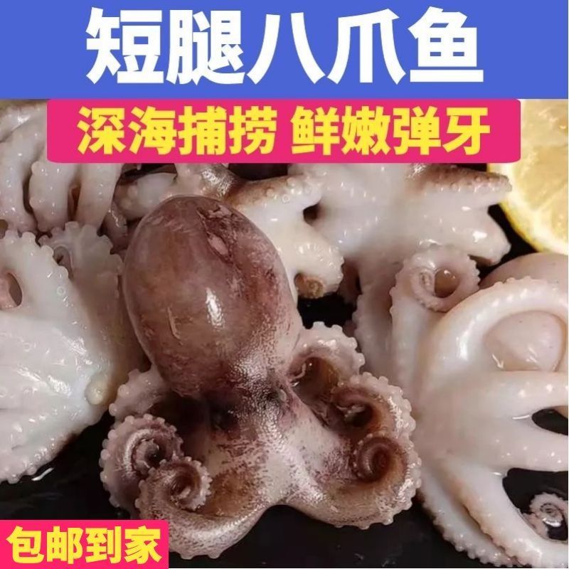 海鲜迷你八爪鱼网红短腿八爪鱼火锅食材小章鱼鲜活速冻八爪鱼章