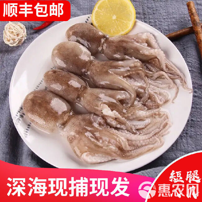 海鲜迷你八爪鱼网红短腿八爪鱼火锅食材小章鱼鲜活速冻八爪鱼章