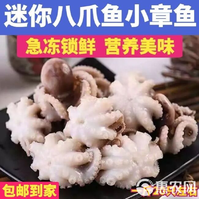 海鲜迷你八爪鱼网红短腿八爪鱼火锅食材小章鱼鲜活速冻八爪鱼章