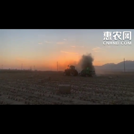 干净，干燥，玉米秸秆私聊
