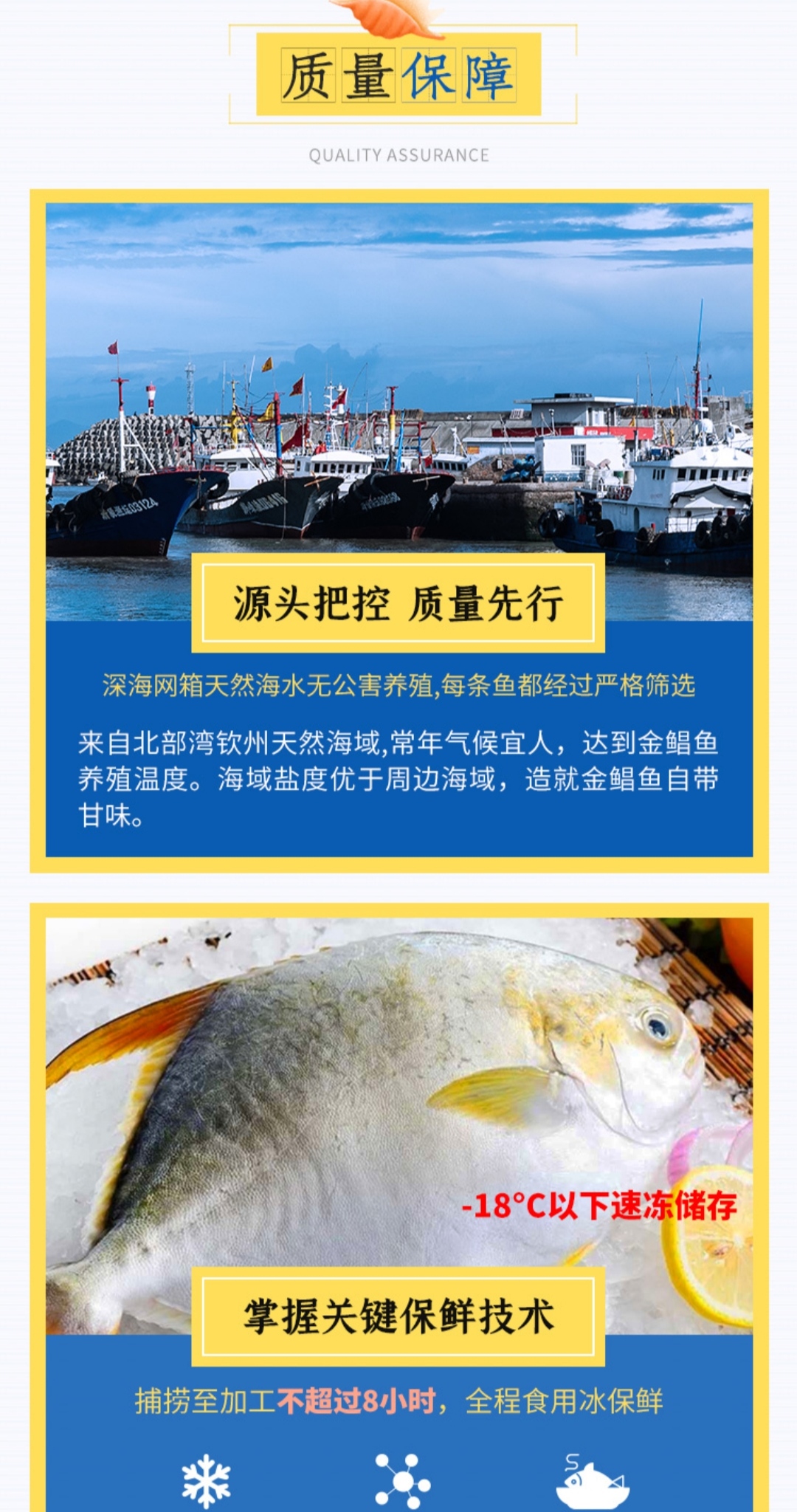 北部湾深海冰鲜金鲳鱼20斤装批发直销