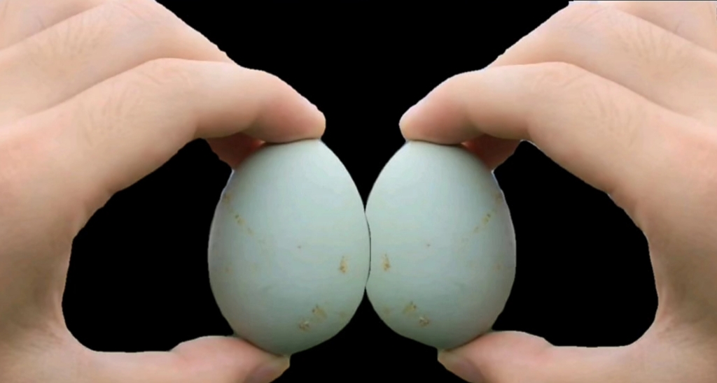 绿壳蛋 长顺绿壳鸡蛋