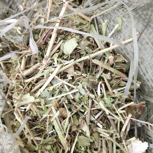 正阳县花生秧 鸡 鸭 鹅 猪 牛 羊 马 兔