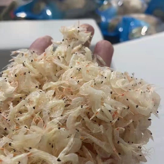 漳州 虾皮