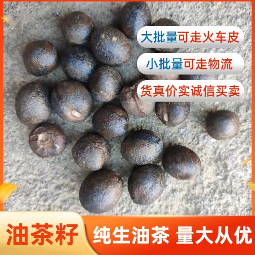 岳阳县油茶籽。有好货，放心购。