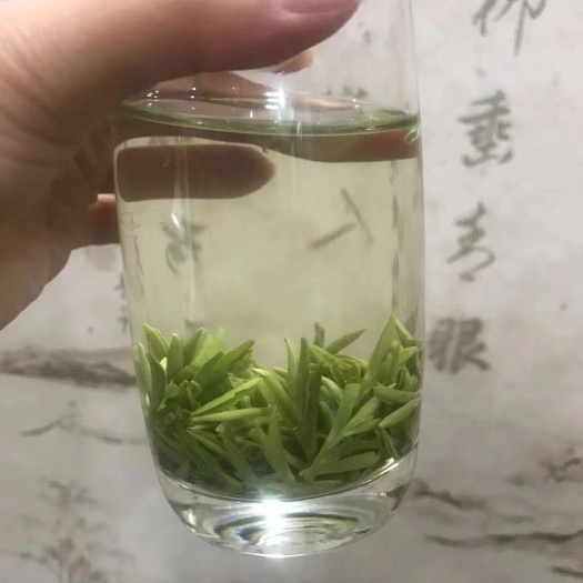 五峰县毛尖茶 贡芽