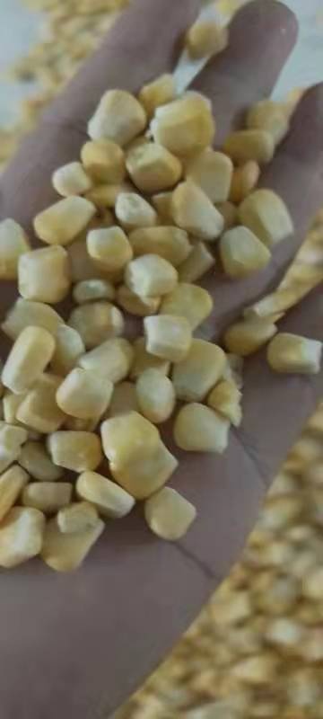涡阳县甜玉米粒水果玉米粒